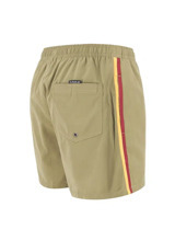Шорты Quiksilver Everyday
